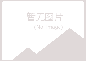 铜川夏岚金融有限公司